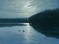Moonlight Loons-Michael Budden-Giclee Print