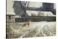 Stretched Canvas Print