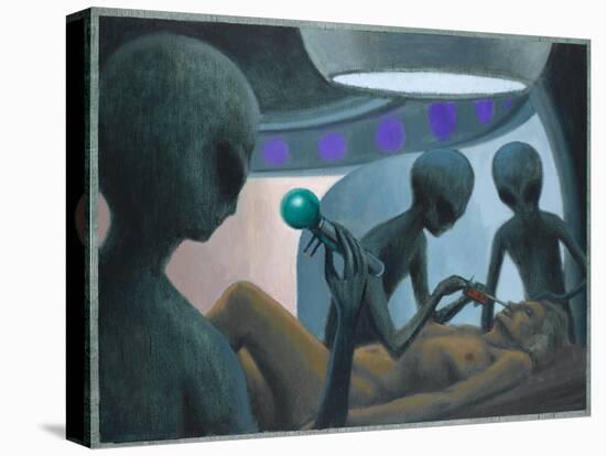 Stretched Canvas Print, , large