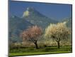 Photographic Print
