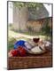 Photographic Print