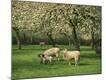 Premium Photographic Print