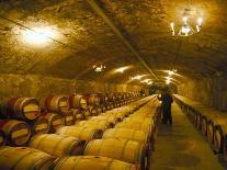 The Cellars, Chateau Lafitte Rothschild, Pauillac, Gironde, France-Michael Busselle-Photographic Print