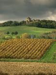 Corn in a Storage, Loire Valley, France-Michael Busselle-Framed Photographic Print