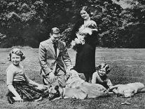 Royal family as a happy group of dog lovers, 1937-Michael Chance-Photographic Print