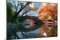 Photographic Print