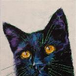 Siamese Cat-Michael Creese-Art Print