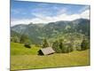 Photographic Print