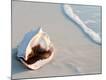 Premium Photographic Print