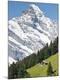 Premium Photographic Print