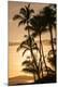 Premium Photographic Print