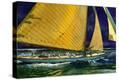 Stretched Canvas Print