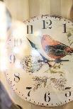 Old clock with motif of a bird, vintage look, close up-Michael Hartmann-Photographic Print