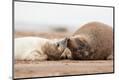 Premium Photographic Print