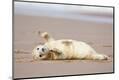 Premium Photographic Print