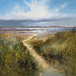 Seaside Path-Michael J^ Sanders-Framed Giclee Print