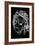 Michael Jackson 2-Octavian Mielu-Framed Art Print