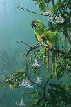 Blue Birds-Michael Jackson-Giclee Print