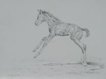 Foal Sketch-Michael Jackson-Giclee Print