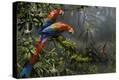 Stretched Canvas Print