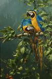 Sunconures-Michael Jackson-Giclee Print