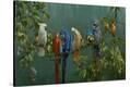 Stretched Canvas Print