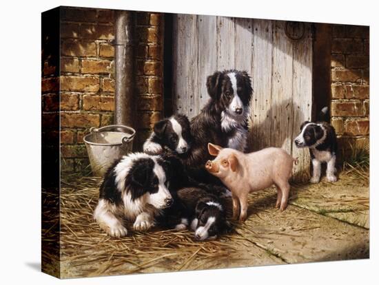 Stretched Canvas Print, , large
