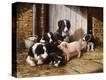 Stretched Canvas Print