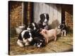 Stretched Canvas Print
