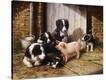 Stretched Canvas Print