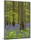 Premium Photographic Print