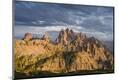 Premium Photographic Print
