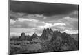 Photographic Print
