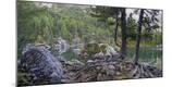 Photographic Print