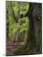 Premium Photographic Print