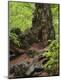 Premium Photographic Print