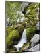 Premium Photographic Print