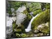 Photographic Print