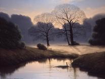 Nature's Early Morning Mist-Michael John Hill-Premier Image Canvas