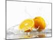 Premium Photographic Print