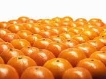Mandarin Oranges in Rows-Michael Löffler-Framed Photographic Print