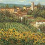 Tuscan Spring II-Michael Longo-Art Print