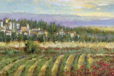 Provencal Village-Michael Longo-Art Print