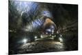 Premium Photographic Print