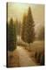Stretched Canvas Print
