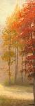Autumn Potential II-Michael Marcon-Art Print