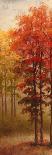 October Trees I-Michael Marcon-Art Print