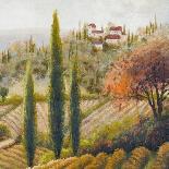 Tuscany Vineyard II-Michael Marcon-Art Print