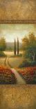 Tuscany Vineyard II-Michael Marcon-Art Print