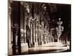 Premium Photographic Print